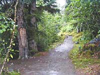 グレイシャーベイ国立公園の入口